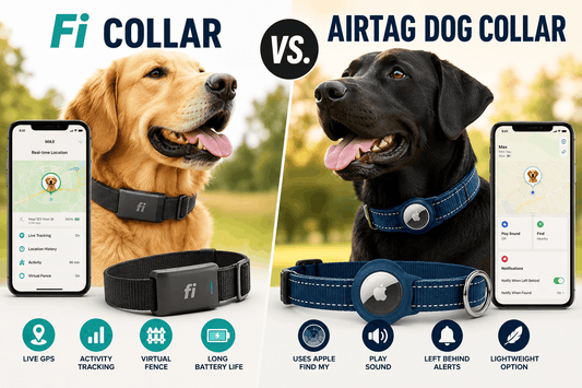Fi Collar vs. AirTag Dog Collar: Full Comparison for 2026 - PawFurEver
