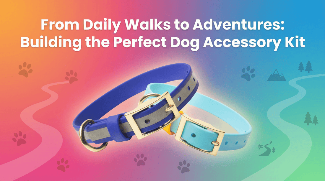 From Daily Walks to Adventures: Building the Perfect Dog Accessory Kit - PawFurEver