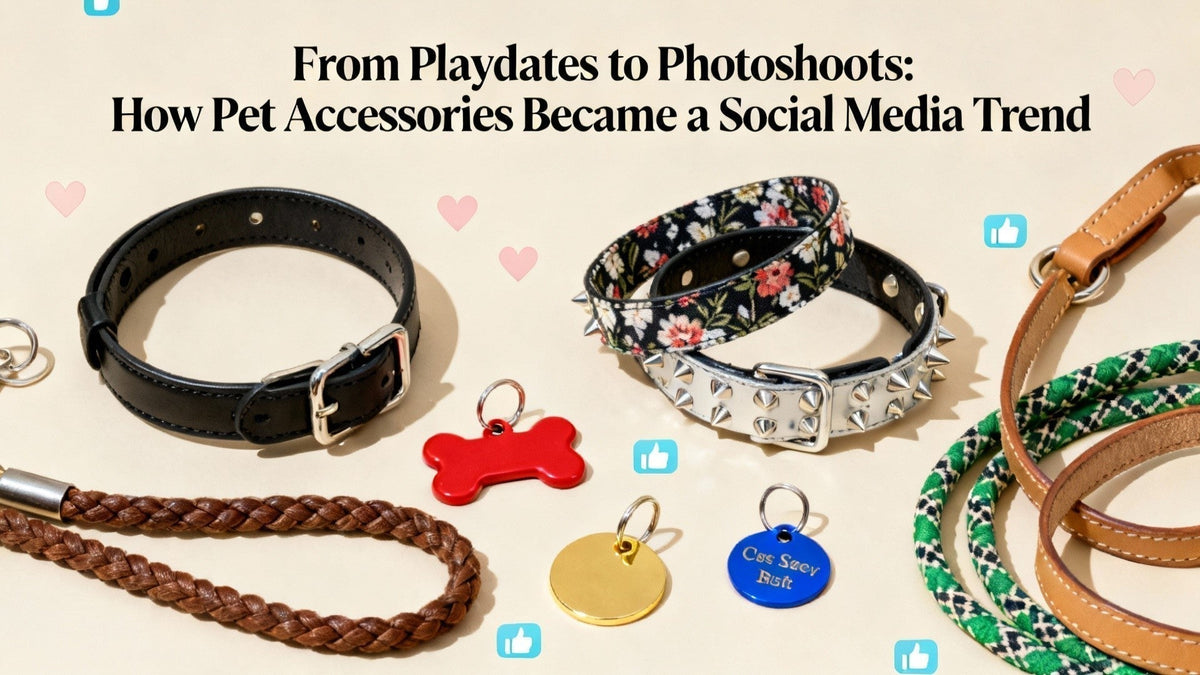 From Playdates to Photoshoots: How Pet Accessories Became a Social Media Trend - PawFurEver