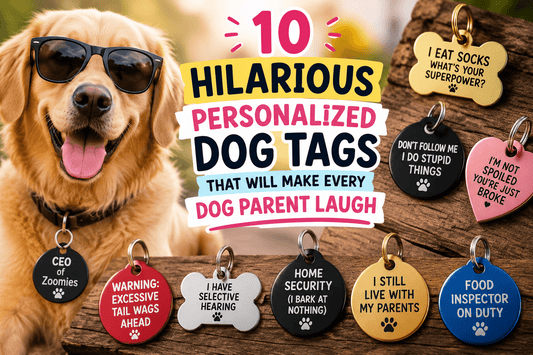 Funny Dog Tag Sayings: 10 Favorites 40+ More Ideas - PawFurEver