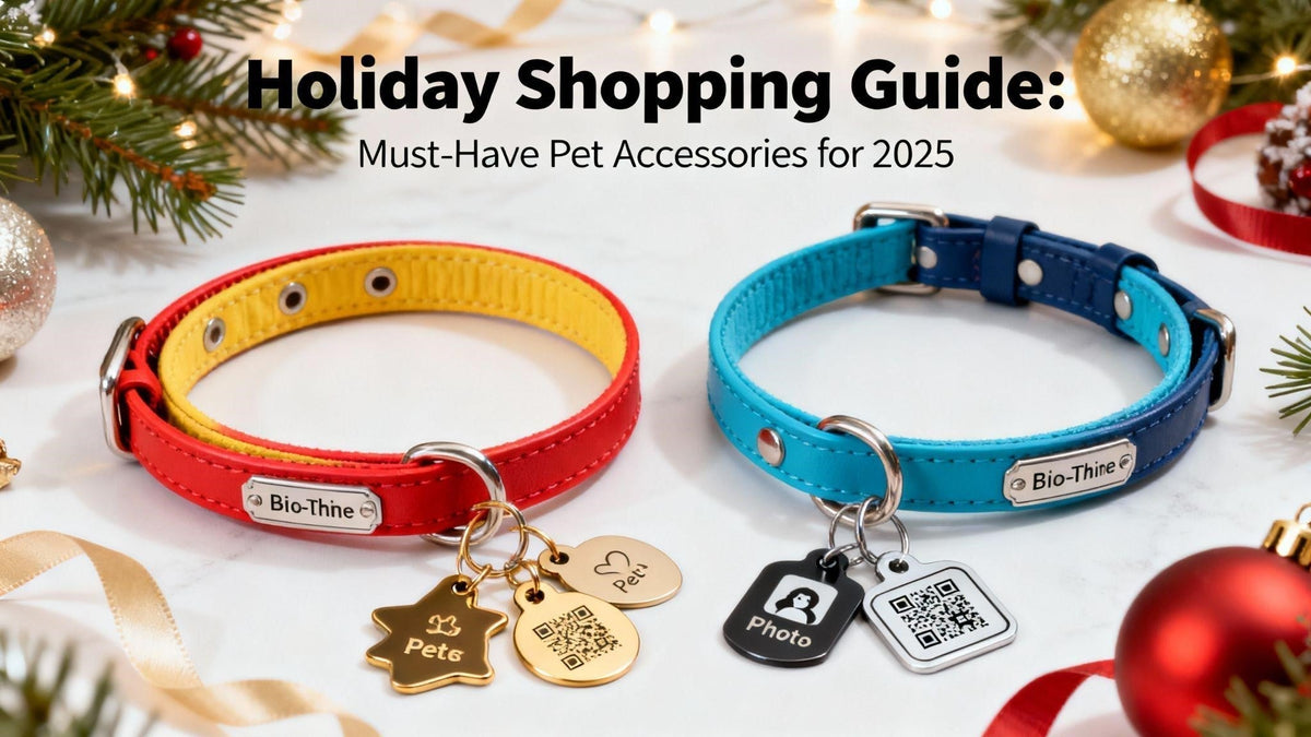 Holiday Shopping Guide: Must-Have Pet Accessories for 2025 - PawFurEver