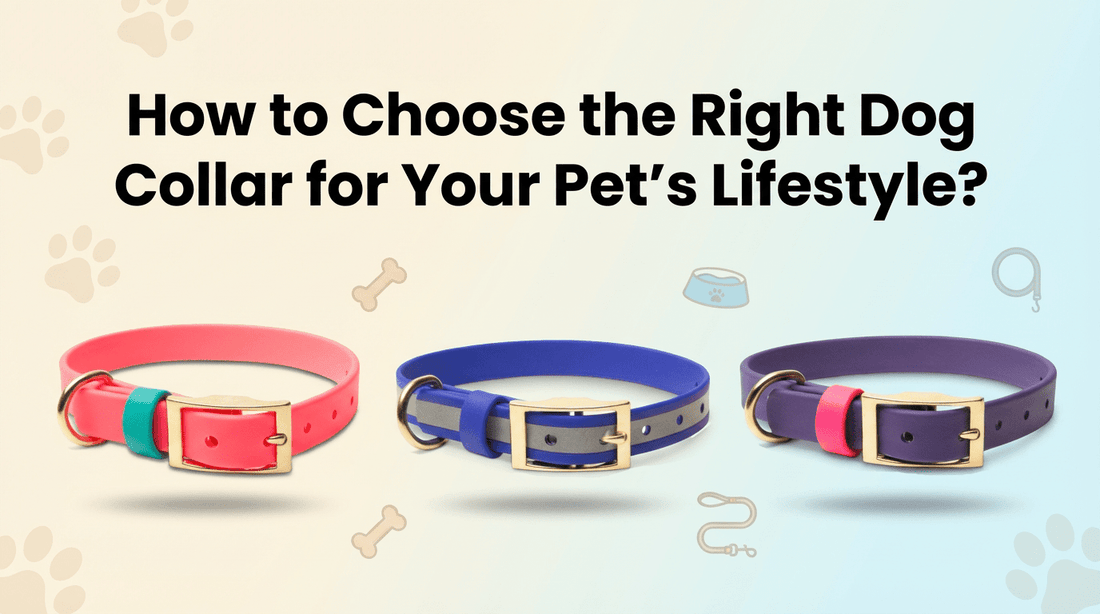 How to Choose the Right Dog Collar for Your Pet's Lifestyle - PawFurEver