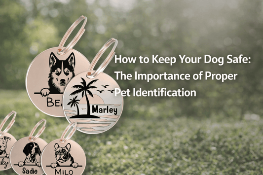 How to Keep Your Dog Safe: The Importance of Proper Pet Identification - PawFurEver