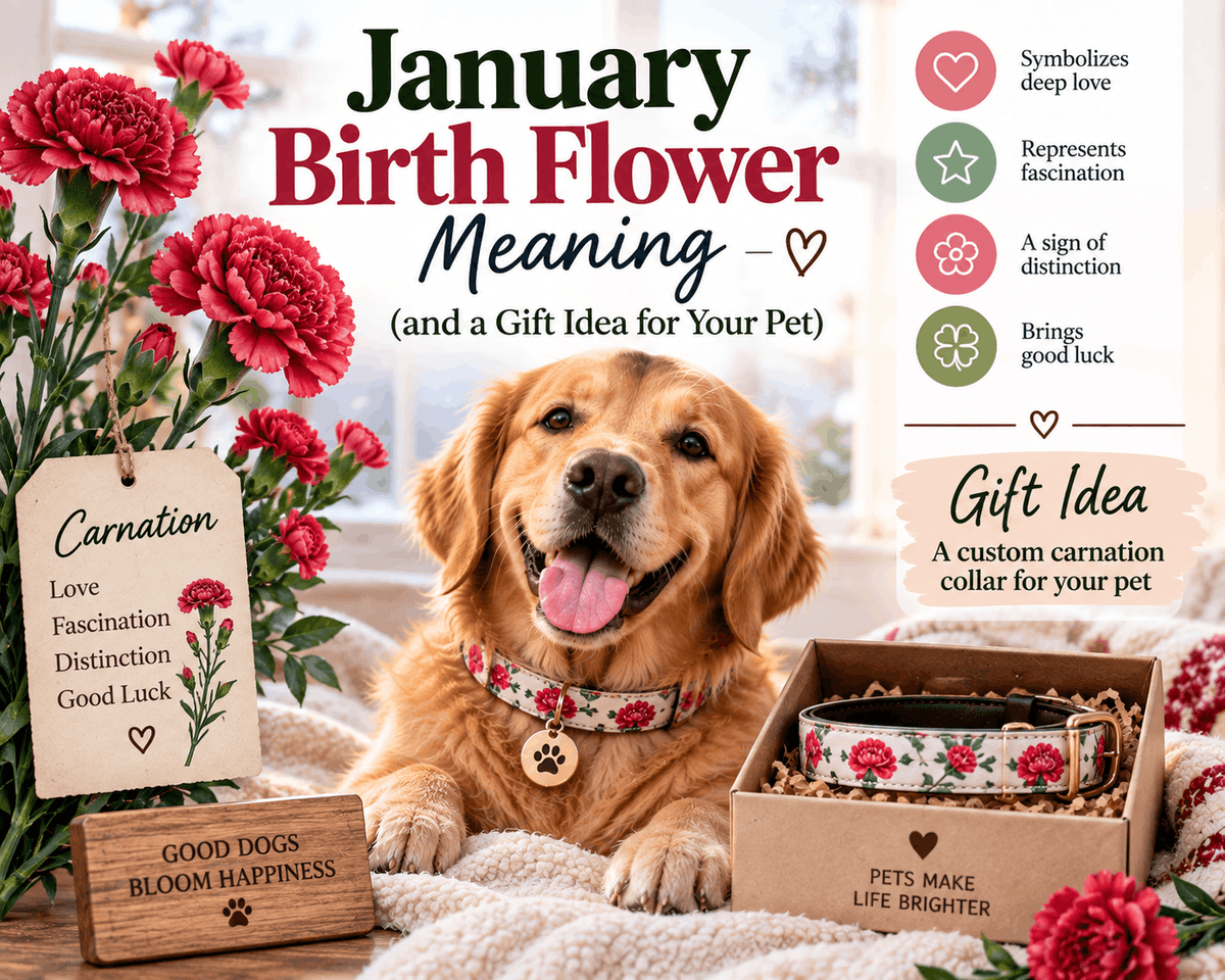January Birth Flower Meaning (and a Gift Idea for Your Pet) - PawFurEver