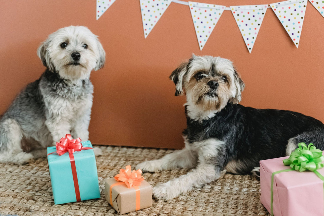Paw-some Gifts for Pet Lovers - PawFurEver
