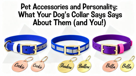 Pet Accessories and Personality: What Your Dog's Collar Says About Them (and You!) - PawFurEver