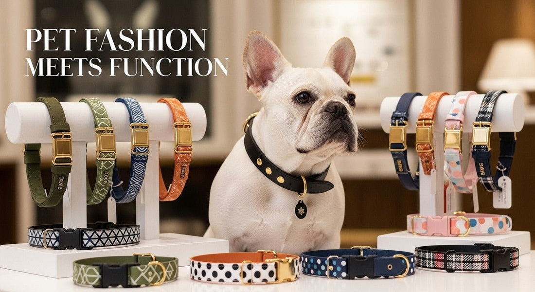 Pet Fashion Meets Function: Why Stylish Collars Are More Than Just Accessories - PawFurEver