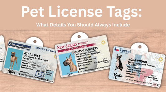 Pet License Tags: What Details You Should Always Include - PawFurEver