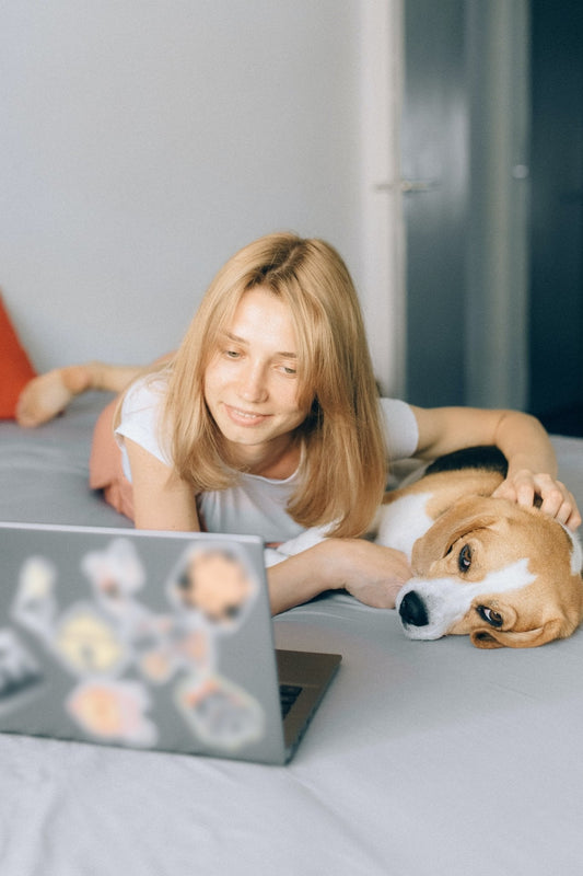 QR Code Dog Tag: How It Works & Why It's Worth It - PawFurEver