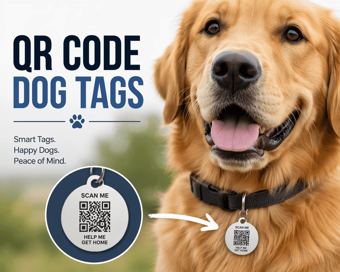 QR Code Dog Tags: The Smart Way to Keep Your Pet Safe in 2026 - PawFurEver