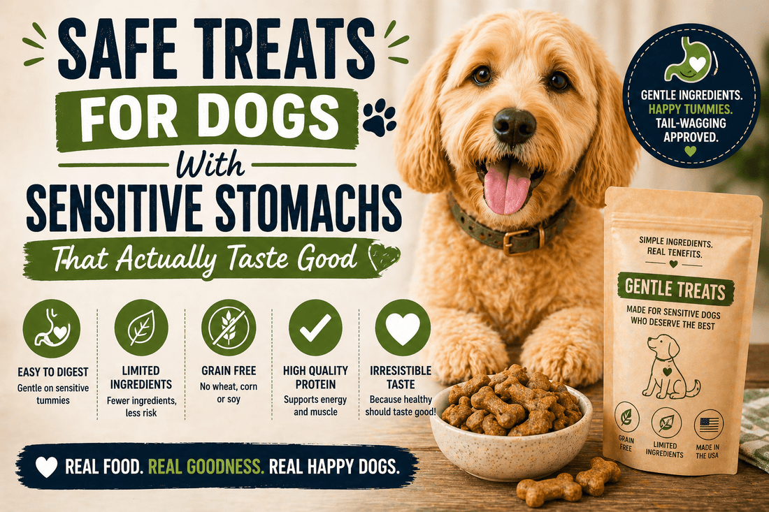 Safe Treats for Dogs With Sensitive Stomachs That Actually Taste Good - PawFurEver