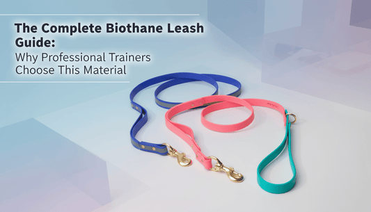 The Complete Biothane Leash Guide: Why Professional Trainers Choose This Material - PawFurEver