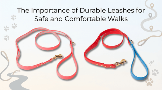 The Importance of Durable Leashes for Safe and Comfortable Walks - PawFurEver