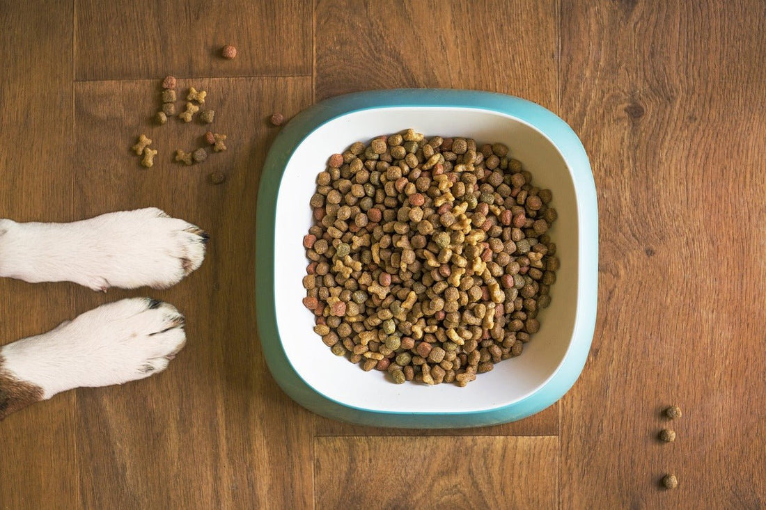 The Magic of Human-Grade Dog Treats: Why Your Pup Deserves the Best - PawFurEver