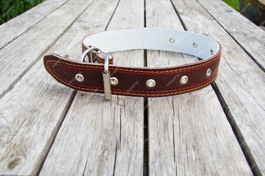 Top Trends in Large Dog Collars for 2023 - PawFurEver