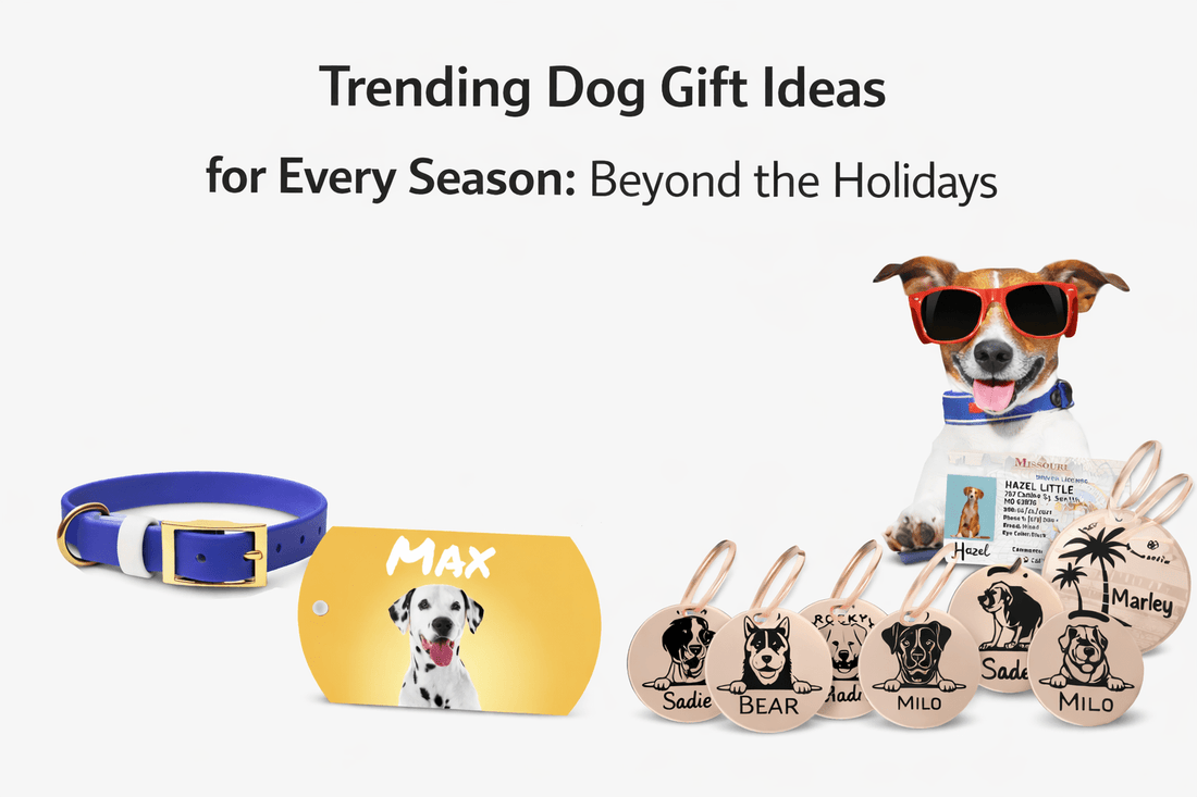 Trending Dog Gift Ideas for Every Season: Beyond the Holidays - PawFurEver