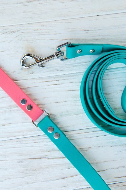 Unleashing the Power of Biothane Dog Leashes: The Ultimate Guide for Pet Owners - PawFurEver