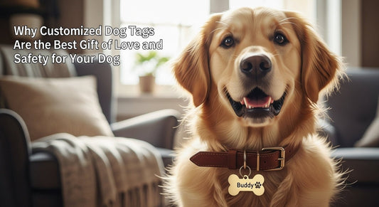 Why Customized Dog Tags Are the Best Gift of Love and Safety for Your Dog - PawFurEver