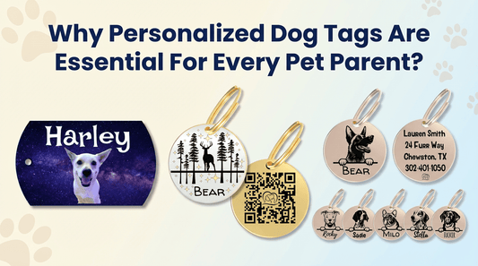 Why Personalized Dog Tags Are Essential for Every Pet Parent - PawFurEver