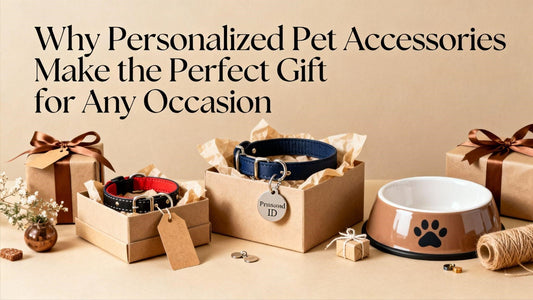 Why Personalized Pet Accessories Make the Perfect Gift for Any Occasion