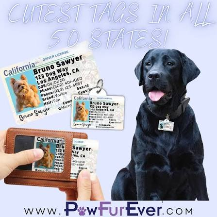 Pawfurever Instagram post 3