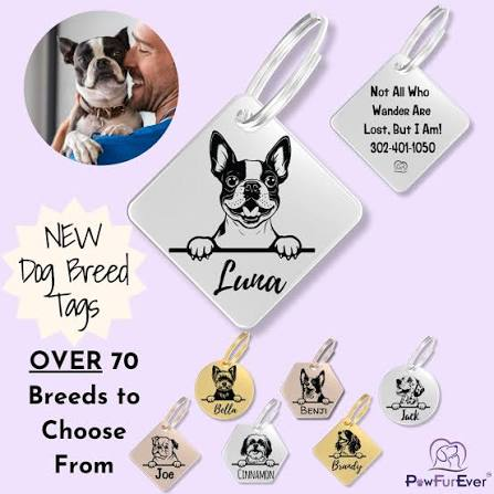 Pawfurever Instagram post 6