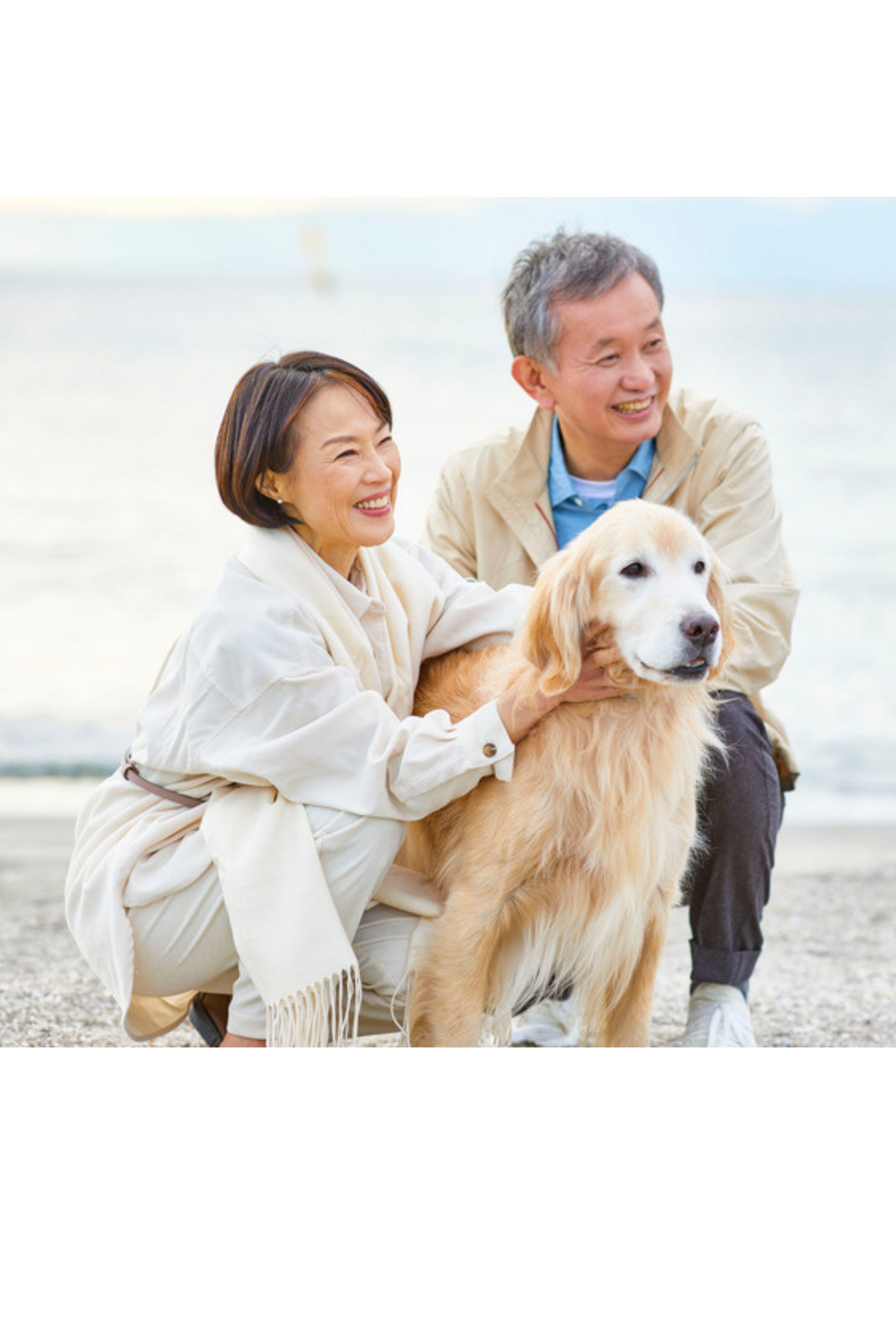 Original pet photo