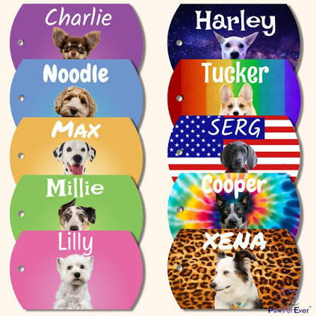 Pawfurever Instagram post 7