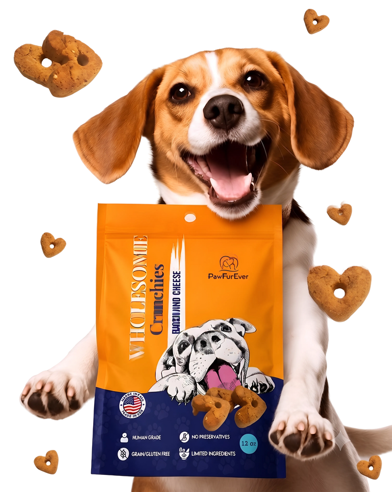 Pet accessories
