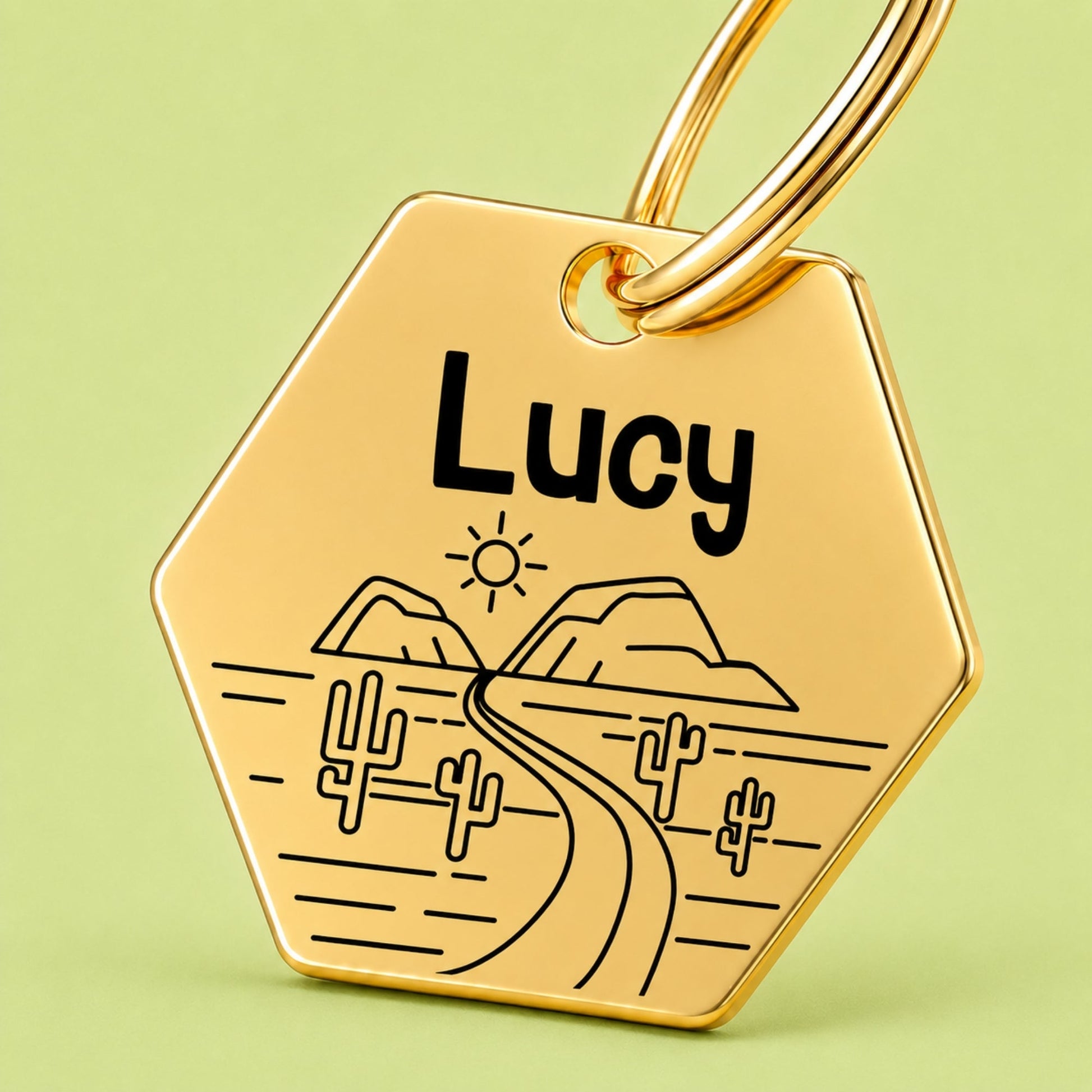 Arizona Engraved Dog Tag Hexagon Gold