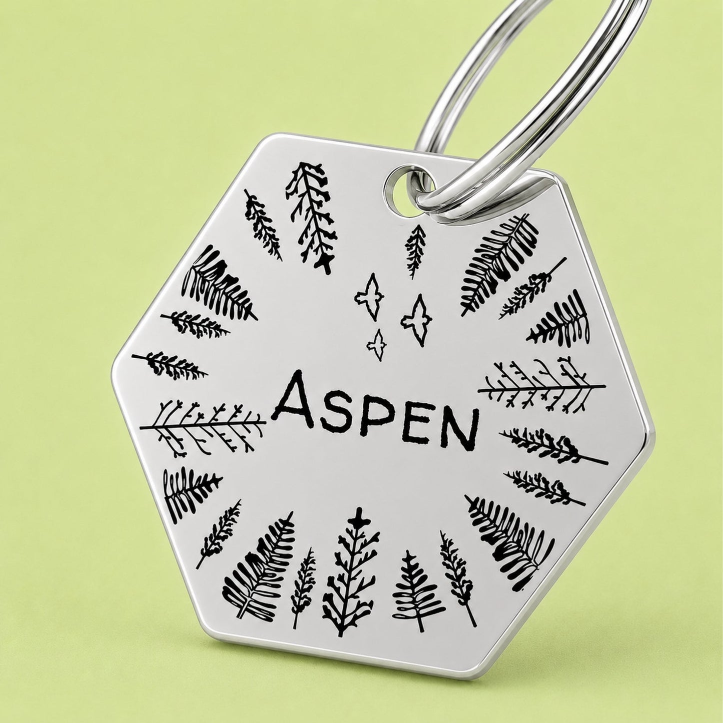Fly High Engraved Dog Tag Hexagon Silver