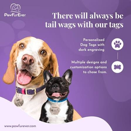 Pawfurever Instagram post 1