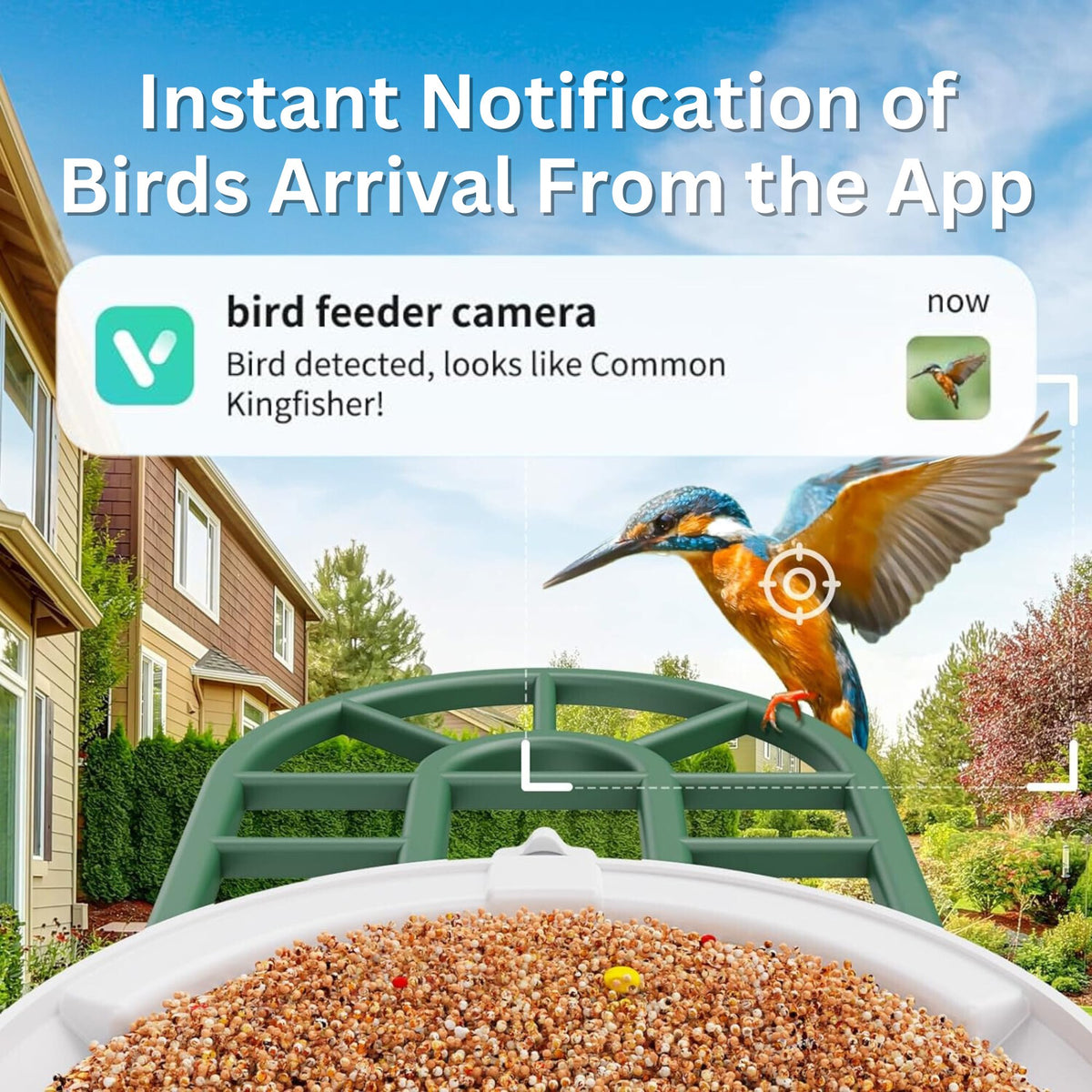 Bird Feeder - PawFurEver Smart Bird Feeder with Camera