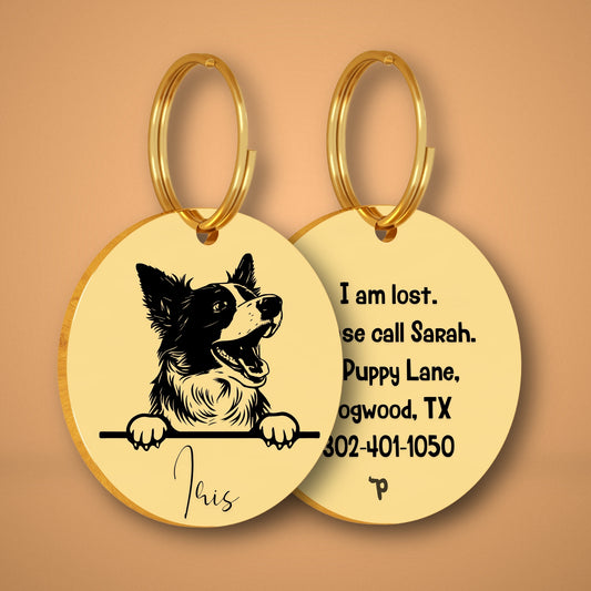 Border Collie Style 2 personalized dog tag, circle shape in gold stainless steel with peek-a-boo portrait