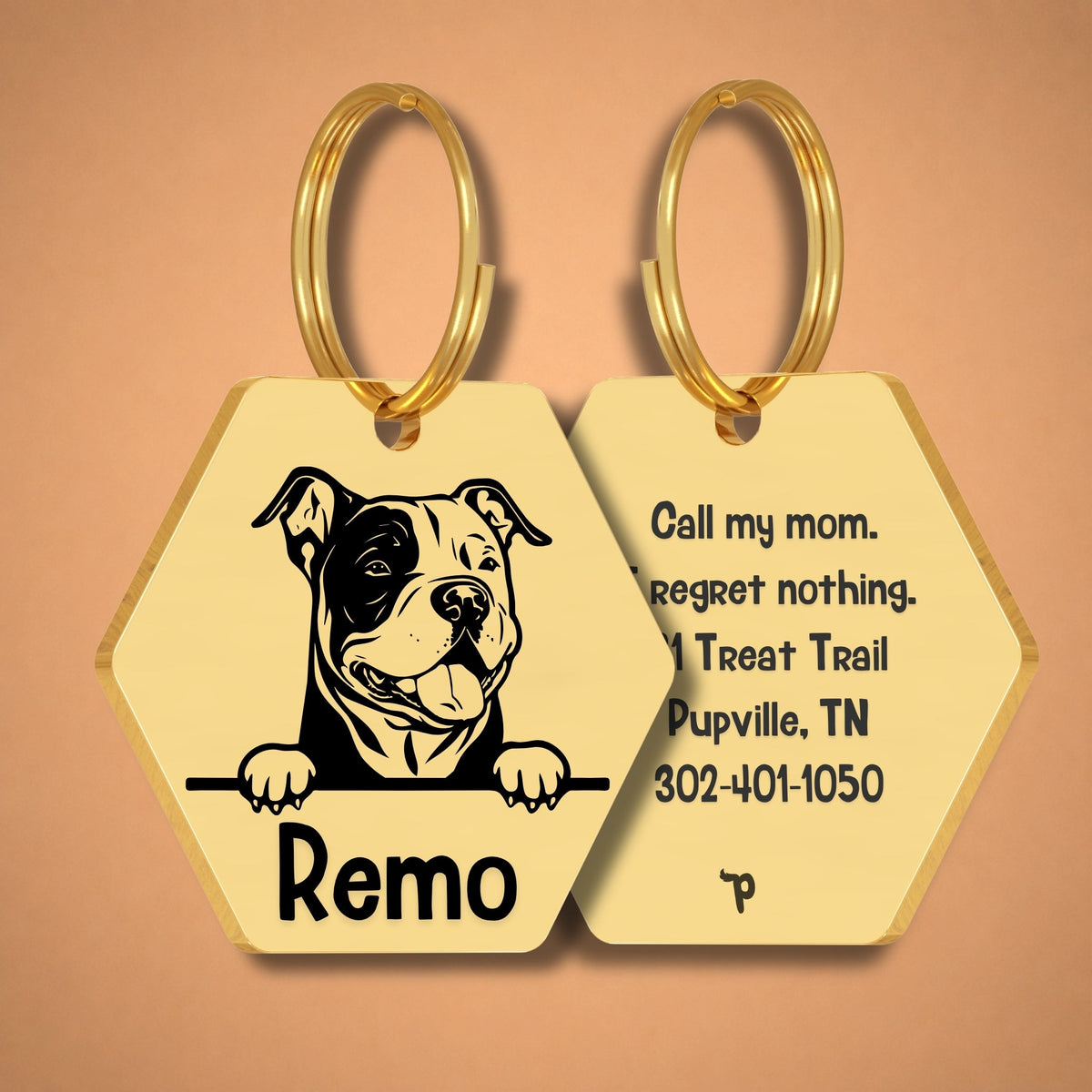 Breed Dog Tag - American Bully Unique Dog Tag with Peek-a-Boo Portrait