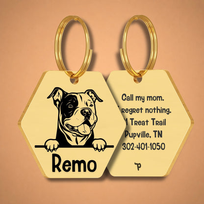 Breed Dog Tag - American Bully Unique Dog Tag with Peek-a-Boo Portrait