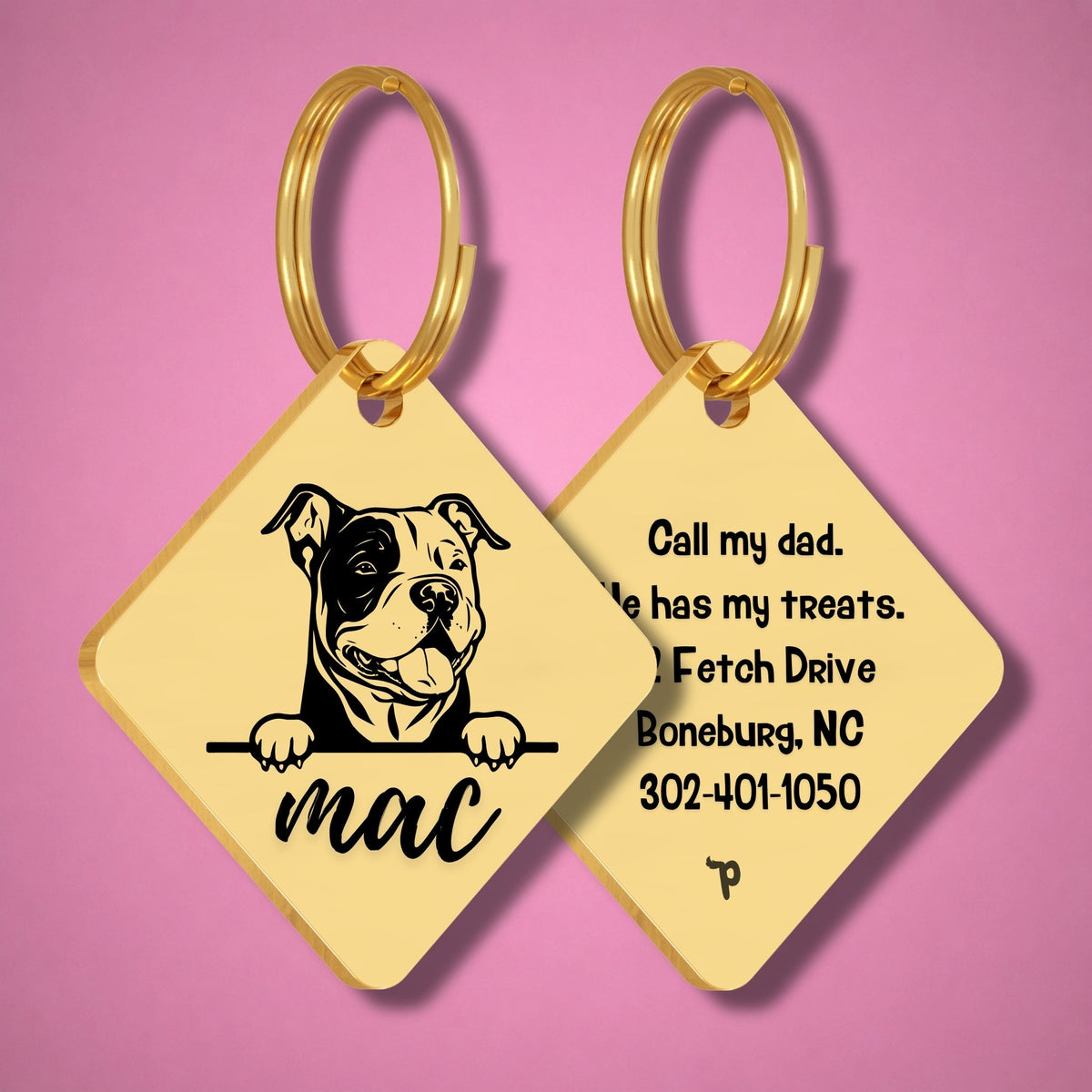 Breed Dog Tag - American Bully Unique Dog Tag with Peek-a-Boo Portrait