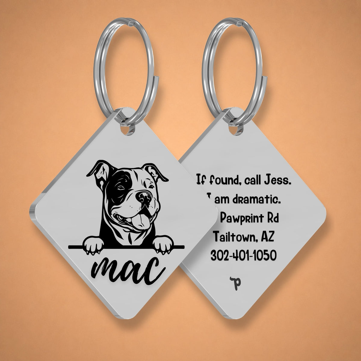 Breed Dog Tag - American Bully Unique Dog Tag with Peek-a-Boo Portrait