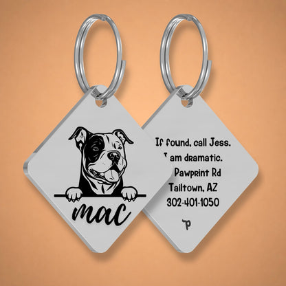 Breed Dog Tag - American Bully Unique Dog Tag with Peek-a-Boo Portrait