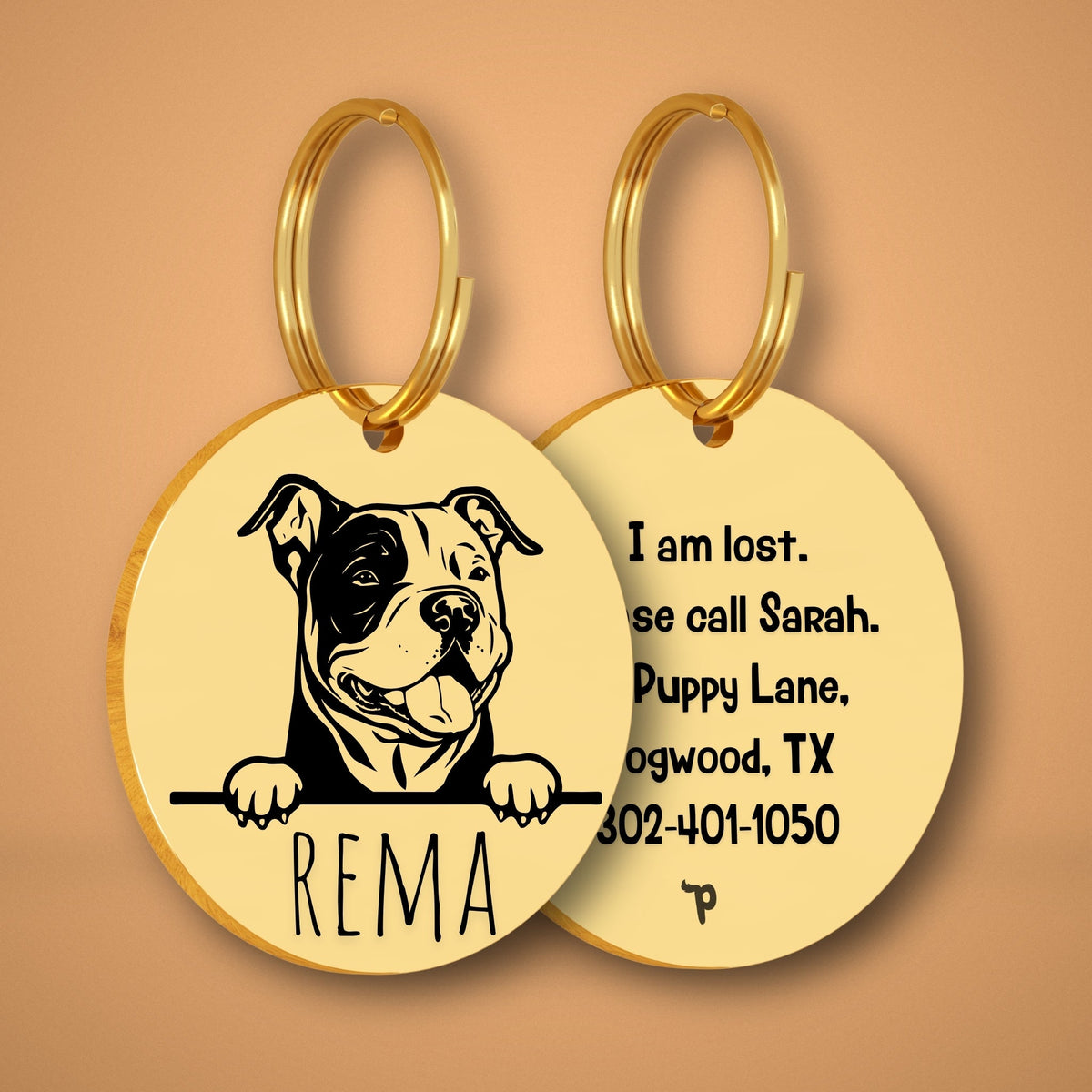 Breed Dog Tag - American Bully Unique Dog Tag with Peek-a-Boo Portrait