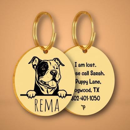 Breed Dog Tag - American Bully Unique Dog Tag with Peek-a-Boo Portrait