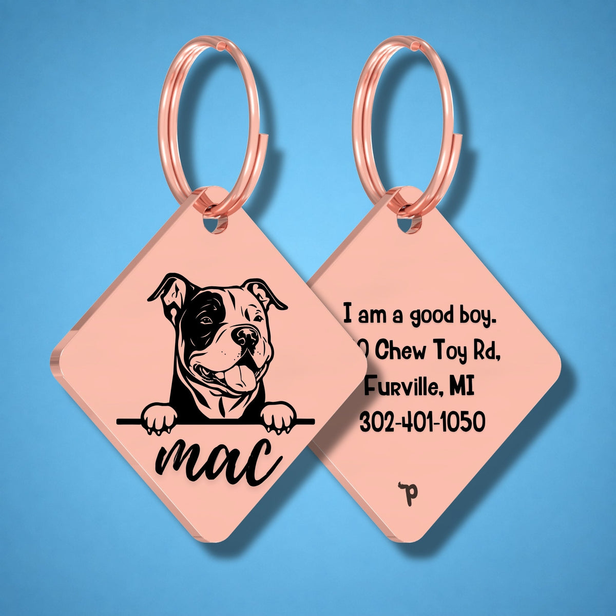 Breed Dog Tag - American Bully Unique Dog Tag with Peek-a-Boo Portrait