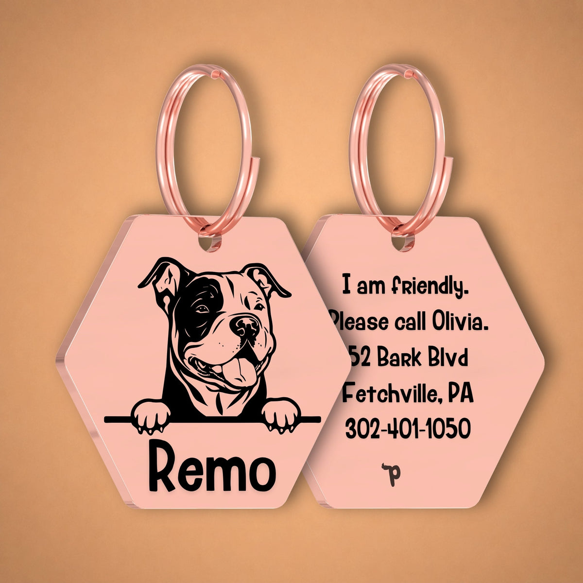 Breed Dog Tag - American Bully Unique Dog Tag with Peek-a-Boo Portrait