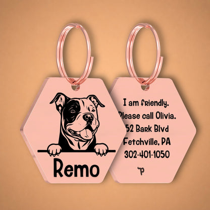 Breed Dog Tag - American Bully Unique Dog Tag with Peek-a-Boo Portrait