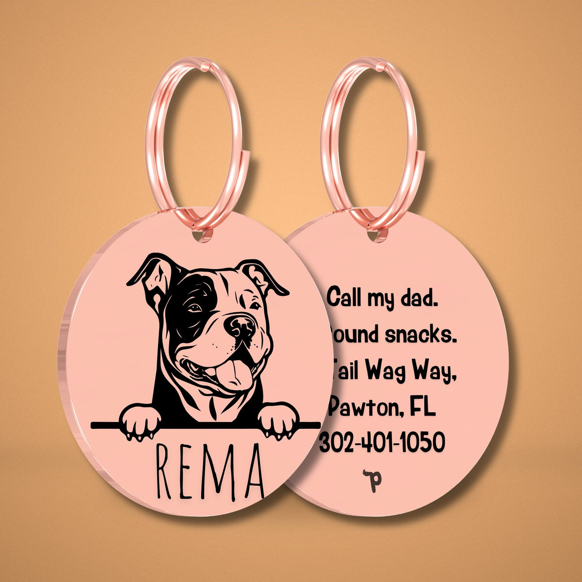 Breed Dog Tag - American Bully Unique Dog Tag with Peek-a-Boo Portrait