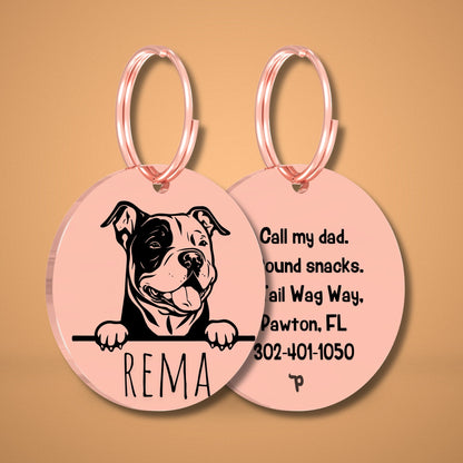 Breed Dog Tag - American Bully Unique Dog Tag with Peek-a-Boo Portrait
