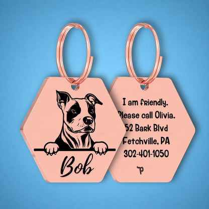 Breed Dog Tag - Amstaff Unique Dog Tag with Peek-a-Boo Portrait