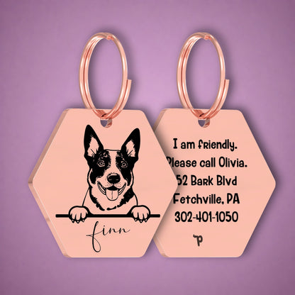 Breed Dog Tag - Australian Cattle Unique Dog Tag with Peek-a-Boo Portrait