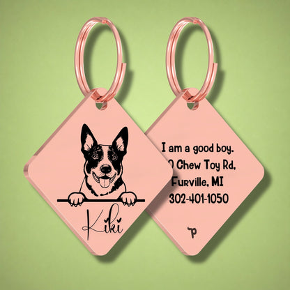 Breed Dog Tag - Australian Cattle Unique Dog Tag with Peek-a-Boo Portrait