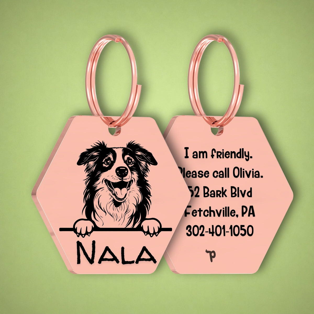 Breed Dog Tag - Australian Shepherd Unique Dog Tag with Peek-a-Boo Portrait